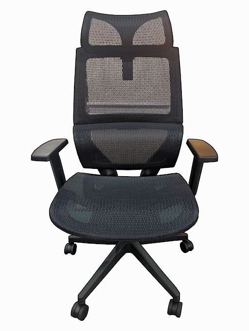 Newarrival Ergodynamic HUMAN V7.0 Executive Mesh Chair, High Back