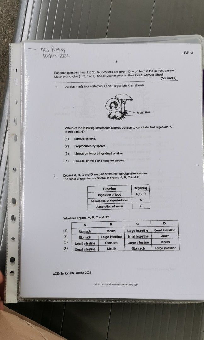 Primary School Exam Paper Printing Services, Hobbies & Toys, Books ...