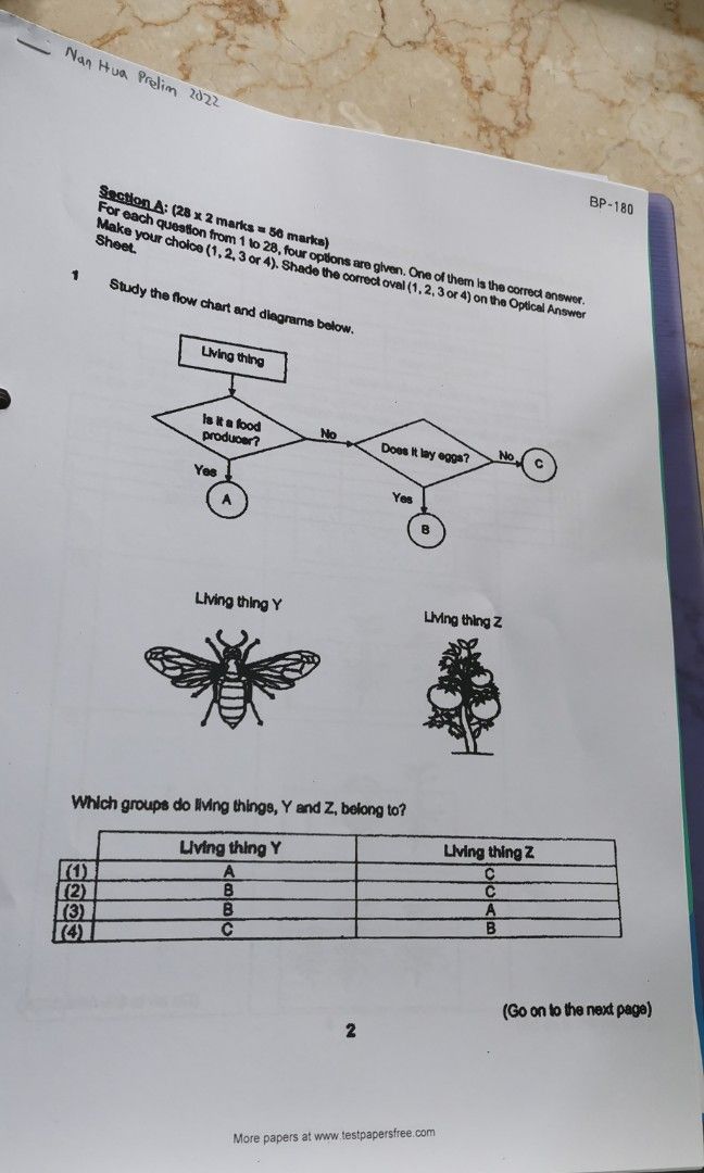 Primary School Exam Paper Printing Services, Hobbies & Toys, Books ...