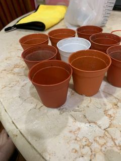 Tiny pots 