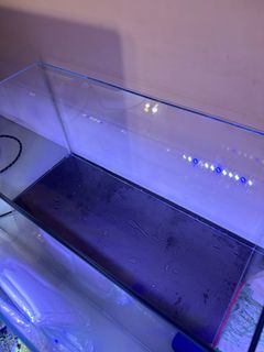 （分類：）位於 。 由 ihz810 提交（商品編號 1213460300，圖片 1）。簡介： 。