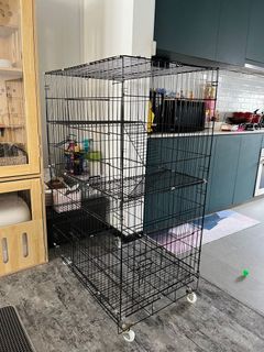 (Category: ) located in . Submitted by harlynn2015 (Listing ID 1213423068, Image 1). Description: .