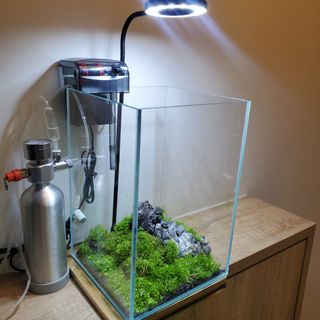 （分類：）位於 。 由 we.co2.ltd 提交（商品編號 1213453858，圖片 1）。簡介： 。