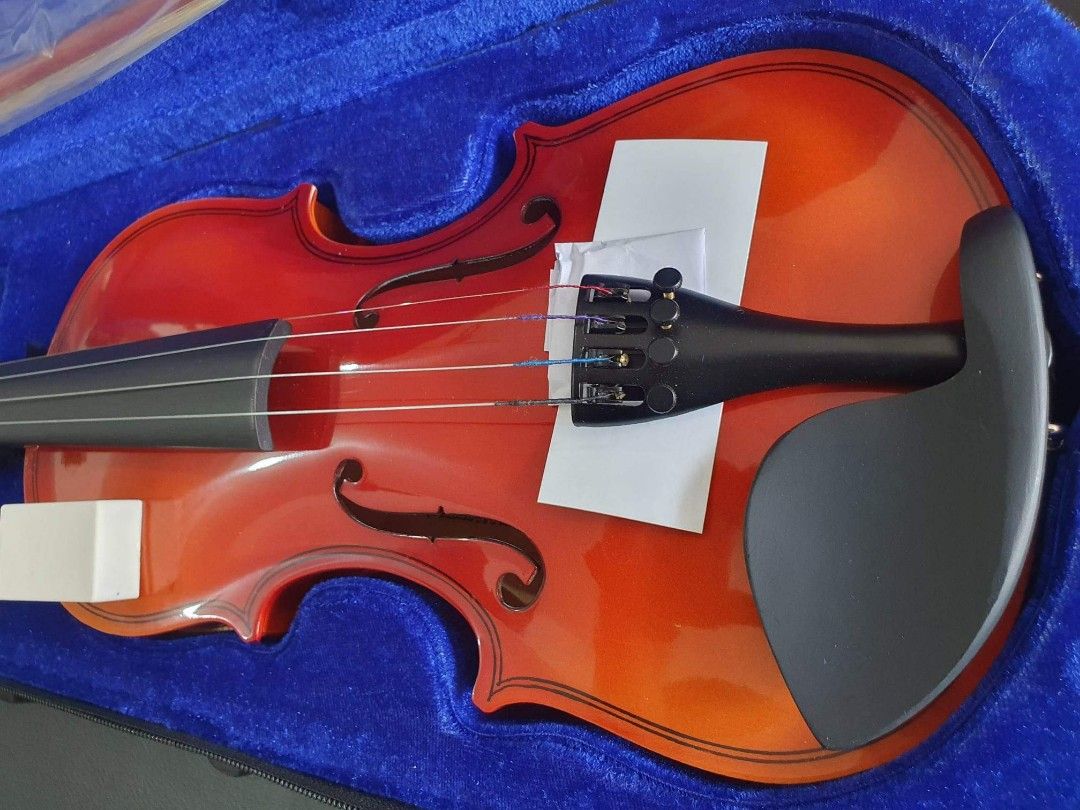 Davis store violin price