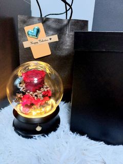 (Category: ) located in . Submitted by qqblooms (Listing ID 1213532744, Image 1). Description: .
