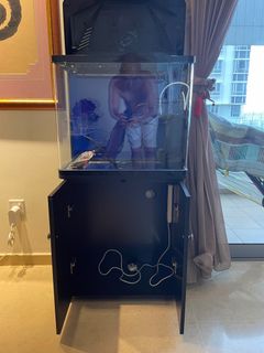 (Category: ) located in . Submitted by DC_Sale (Listing ID 1213451273, Image 1). Description: .
