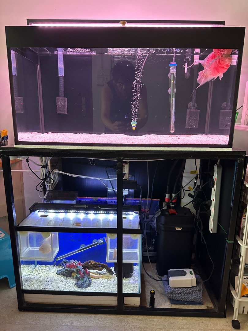 Fish tanks & equipment accessories, Pet Supplies, Homes & Other Pet