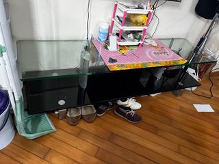 （分類：）位於 。 由 allthingsplants888 提交（商品編號 1213395333，圖片 1）。簡介： 。