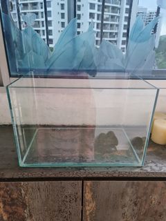 (Category: ) located in . Submitted by chelvichandra23 (Listing ID 1213478418, Image 1). Description: .