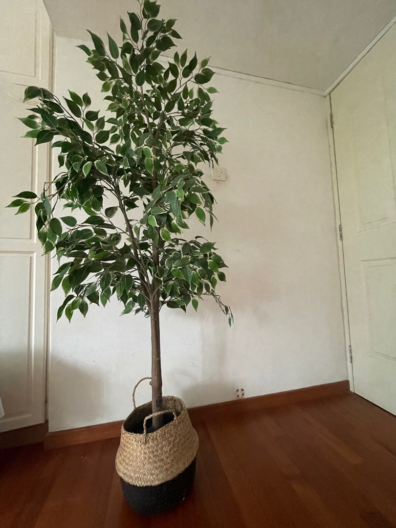 Ikea artificial plant, Furniture & Home Living, Home Decor, Artificial
