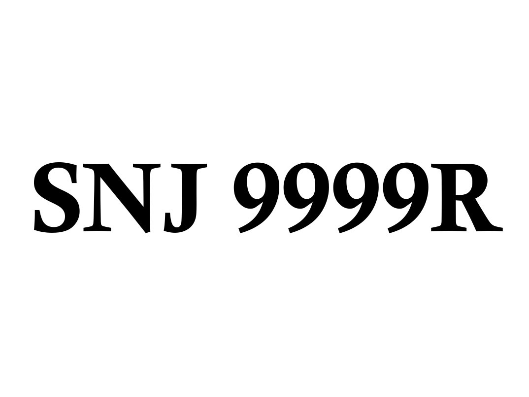 new-car-plate-for-sale-snj9999r-car-accessories-car-plates-on-carousell