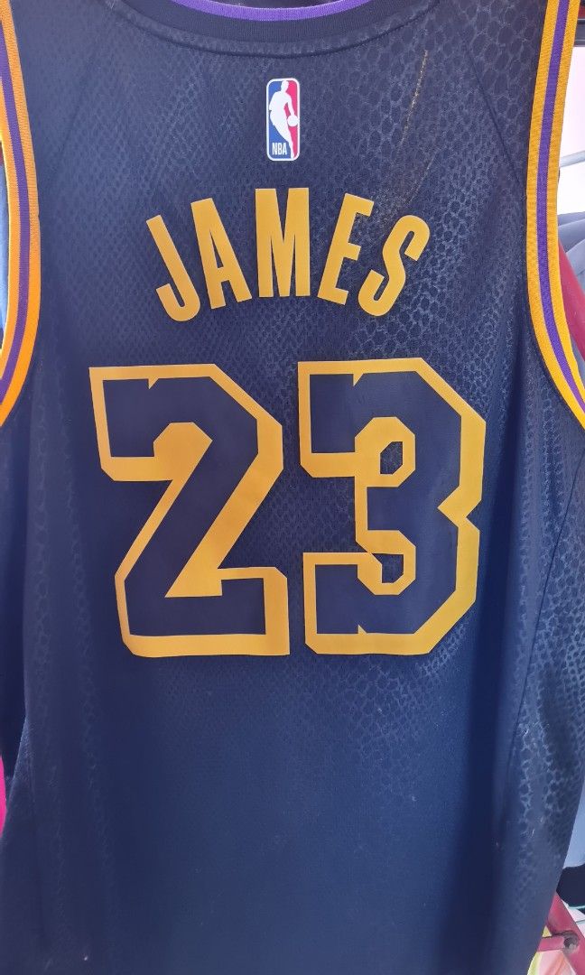 Nike LeBron James Lakers Jersey-Mamba Edition, Men's Fashion, Activewear on  Carousell