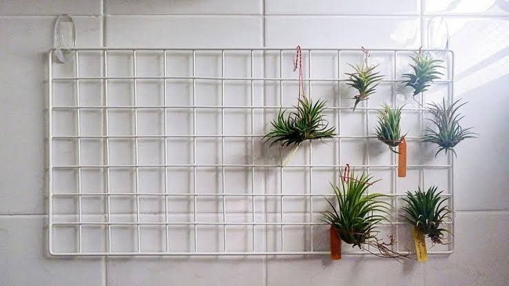 Nordic Grid Wall Mesh Wire, Furniture & Home Living, Home Improvement ...
