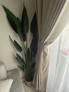(Category: ) located in . Submitted by farisizham (Listing ID 1213378304, Image 1). Description: .