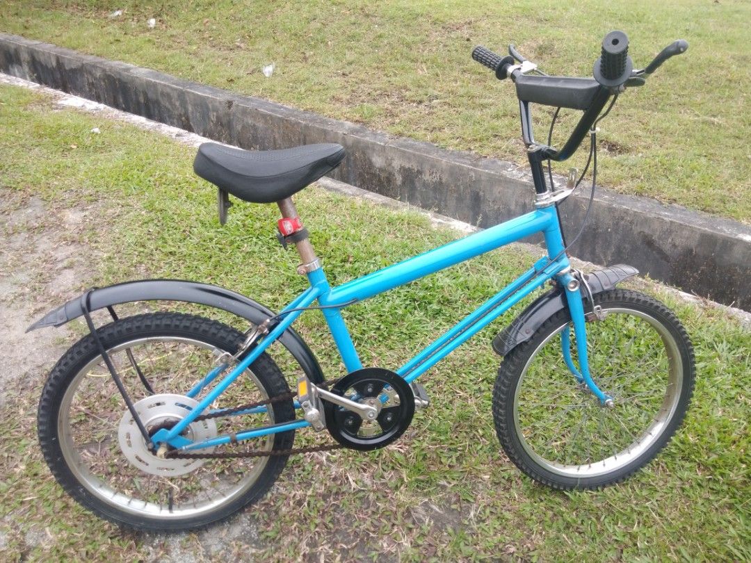 vintage raleigh grifter
