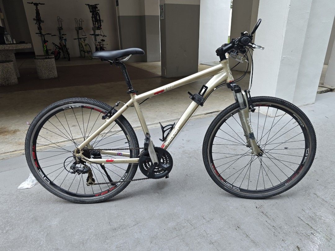 Raleigh hybrid mountain 2025 bike