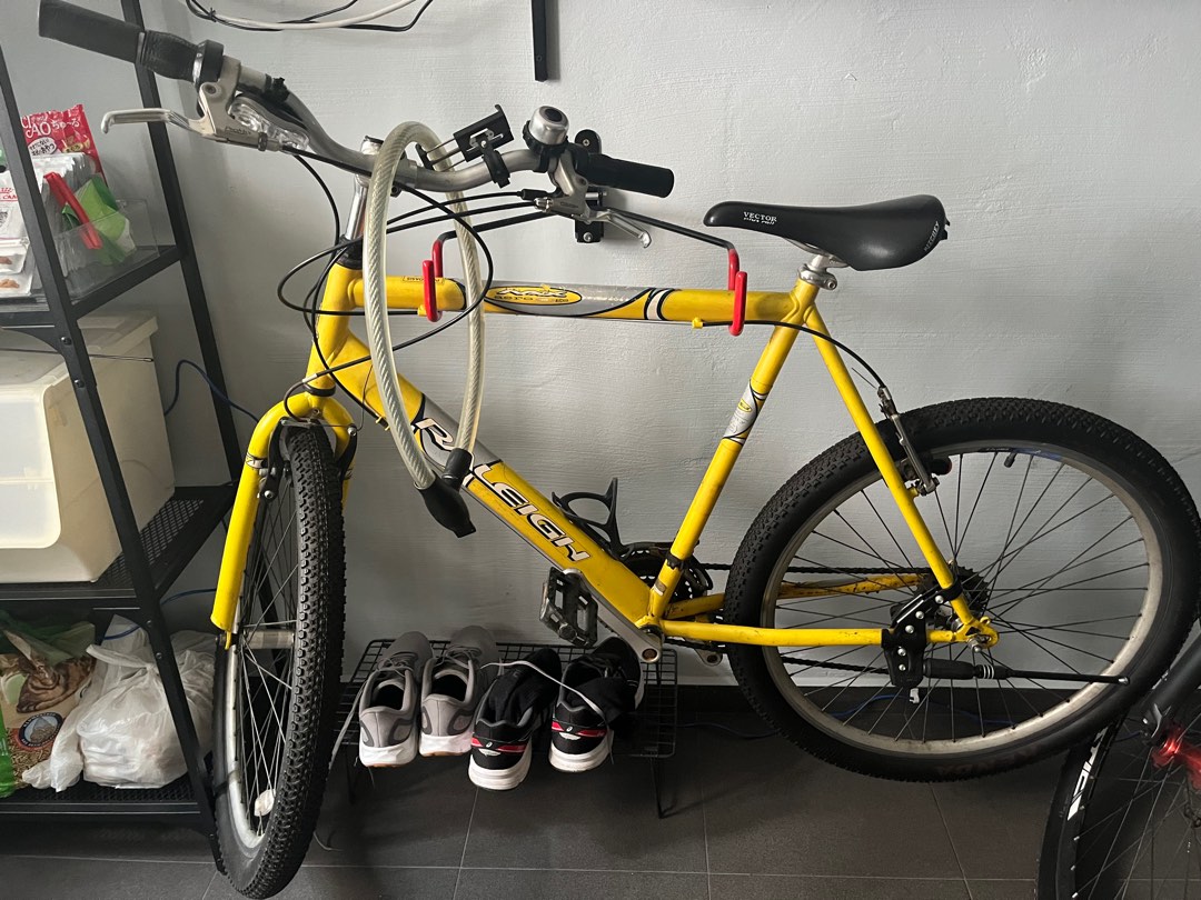 raleigh max aluminium