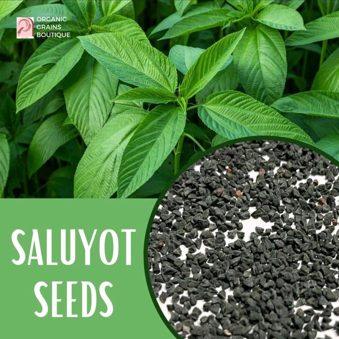 Saluyot seeds / Jute seeds, Furniture & Home Living, Gardening, Plants