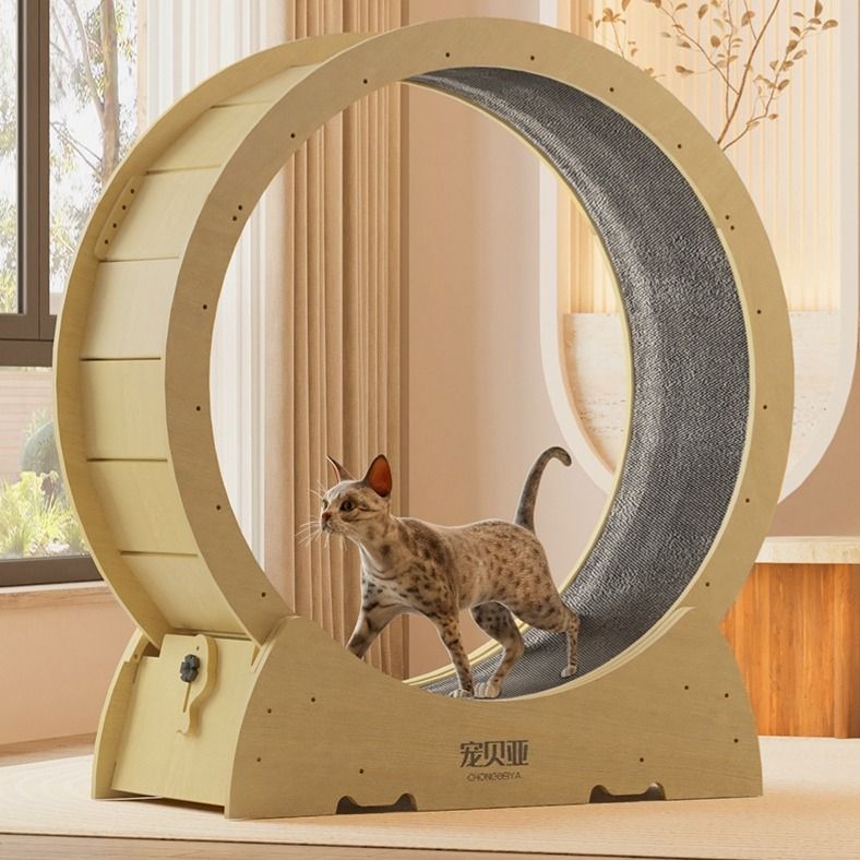 CHEAPEST size XL READY STOCK Cat Treadmill Running Wheel Anti