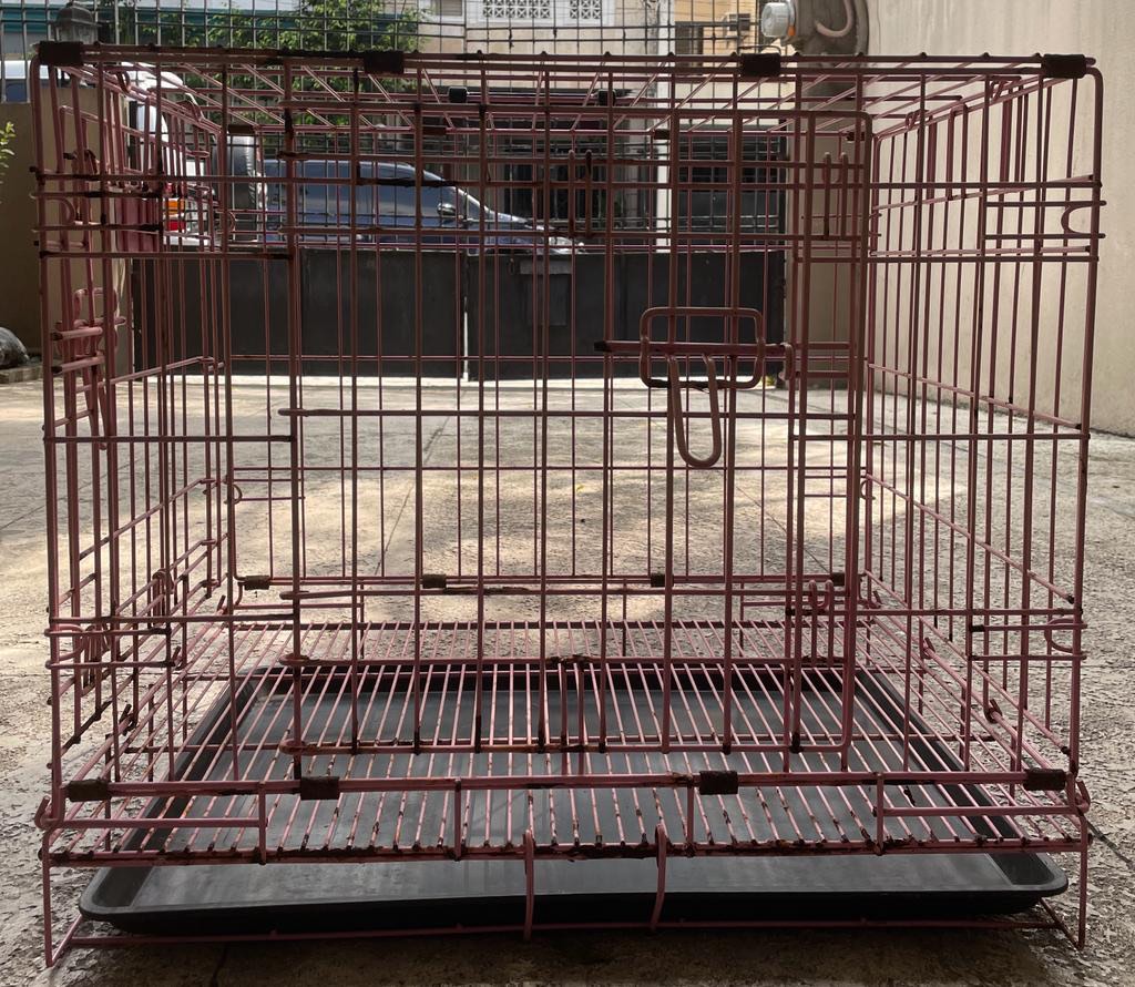 Small Dog cage, Pet Supplies, Homes & Other Pet Accessories on Carousell