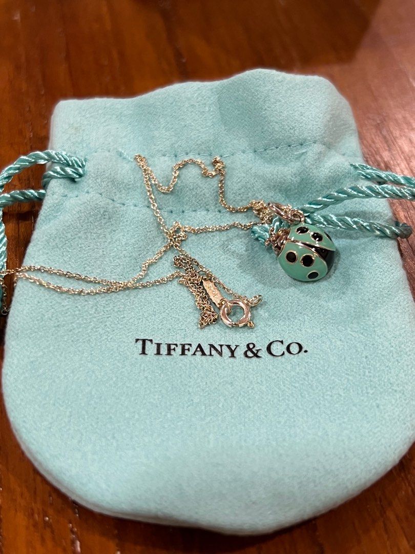 Tiffany and Co. Rose Gold and Silver Ladybug Pendant at 1stDibs | tiffany  ladybug necklace, tiffany and co ladybug necklace, tiffany ladybug necklace  rose gold