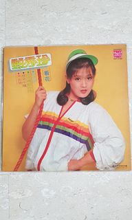 Chinese Mandarin Vinyl CD Collection item 1