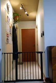 (Category: ) located in . Submitted by munchm0re (Listing ID 1213623729, Image 1). Description: .