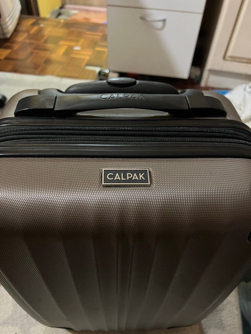 Calpak 22 luggage