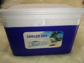 Cooler Box 4L (Blue)