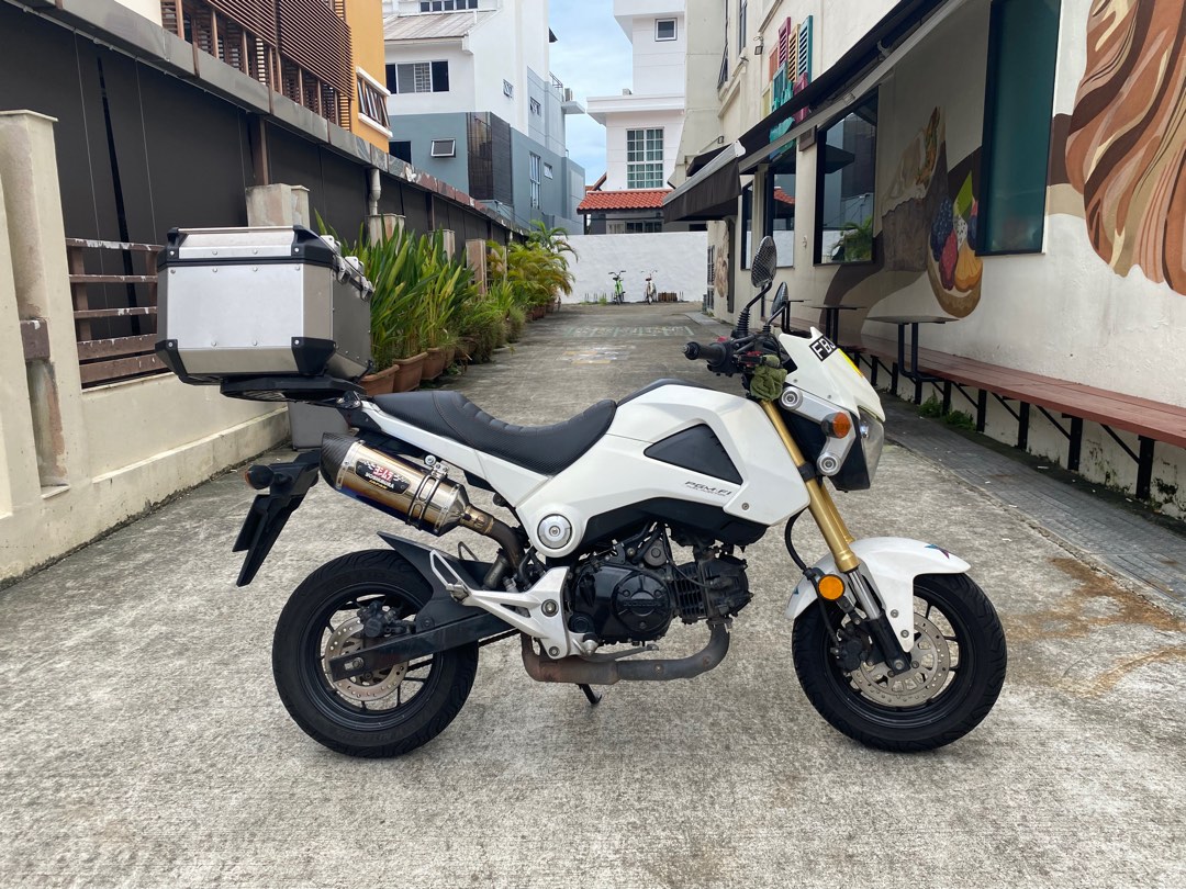 Honda MSX 125 COE Feb 2024, Motorcycles, Motorcycles for Sale, Class 2B