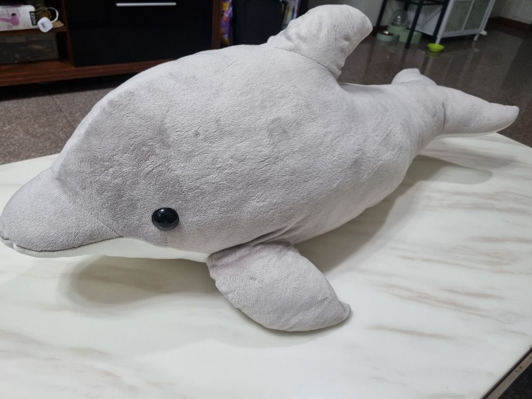 Soft toy Dolphin bought from Sentosa Aquarium, Hobbies & Toys, Toys & Games  on Carousell