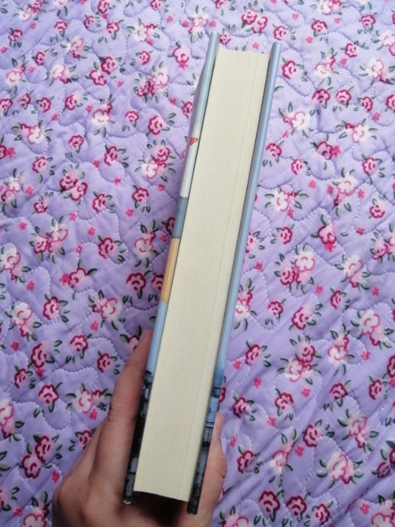 The Paper Girl of Paris, Hobbies & Toys, Books & Magazines, Storybooks