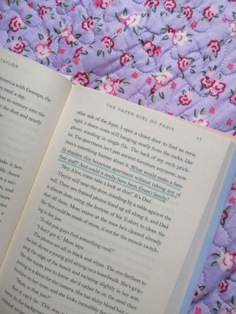 The Paper Girl of Paris, Hobbies & Toys, Books & Magazines, Storybooks