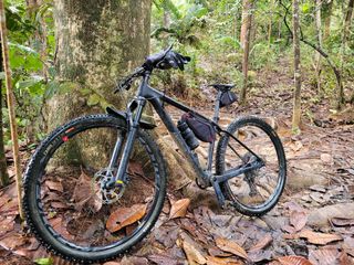 Trek carbon hardtail 2025 29er