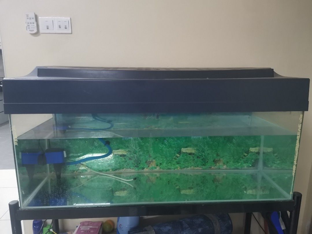 4ft Aquarium with stand., Pet Supplies, Homes & Other Pet Accessories on Carousell