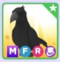 Adopt Me Mega FR Crow!