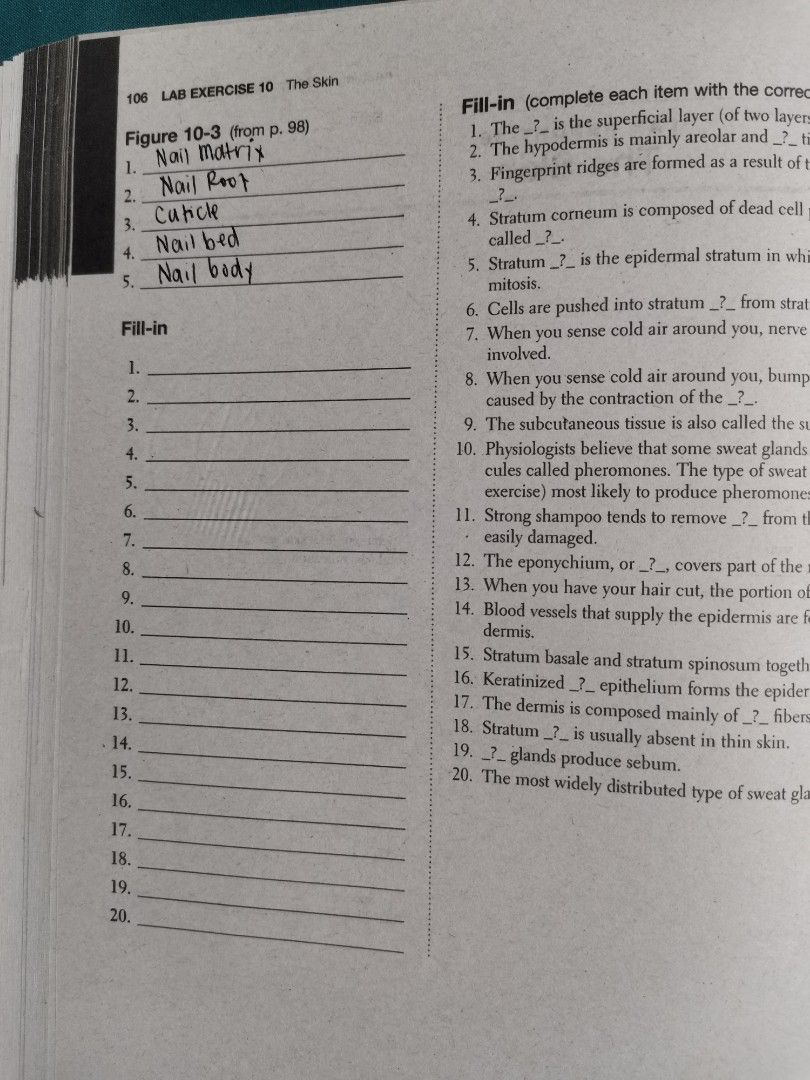 Anatomy & Physiology LabManual Kevin Patton 10th Edition, Hobbies
