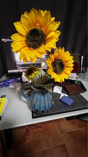 (Category: ) located in . Submitted by flerovium (Listing ID 1213893201, Image 1). Description: .