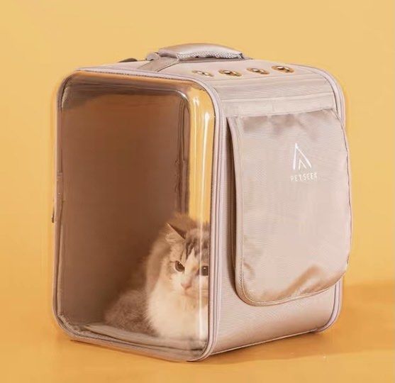 Wish cat online backpack