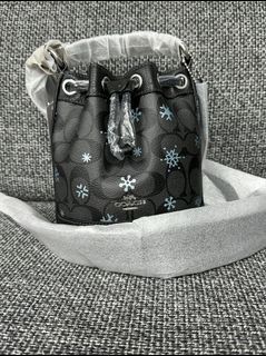 Coach 細水桶袋