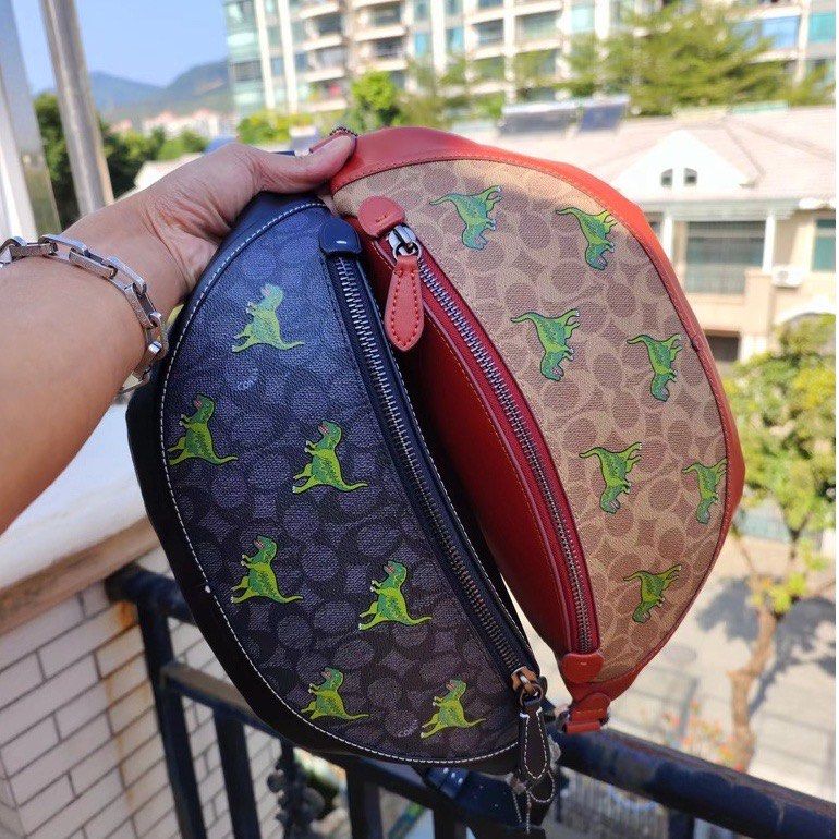 Coach League Belt Bag in Signature Canvas with Rexy Print
