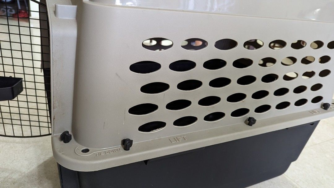 Dog Crate IATA standard, Pet Supplies, Homes & Other Pet Accessories
