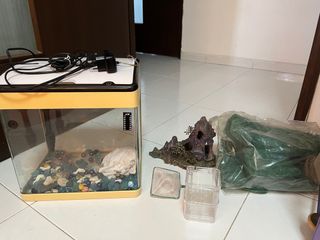 (Category: ) located in . Submitted by garyscy (Listing ID 1213790973, Image 1). Description: .
