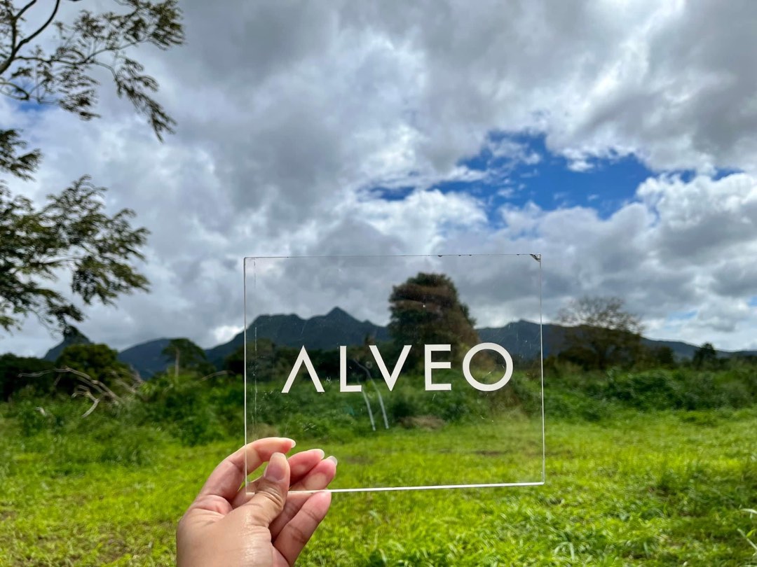 Lot For Sale in Lipa Batangas South Palm Grove Alveo Ayala land