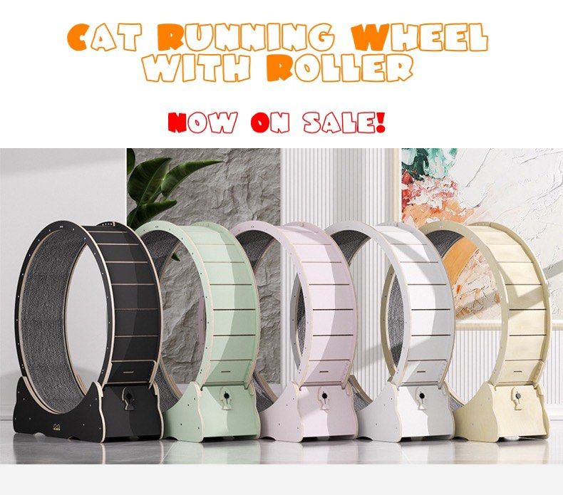 Cat hotsell wheel price