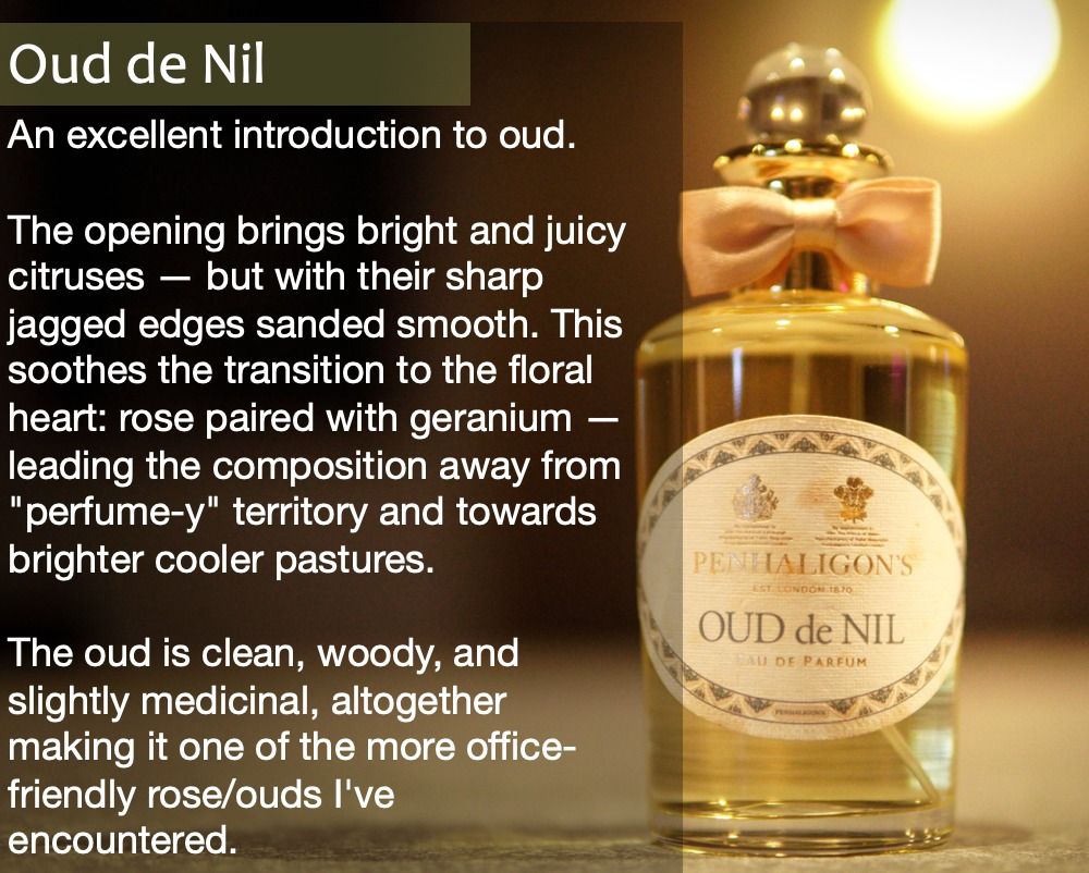 Oud de Nil [2 5ml Decant], Beauty Personal Care, Fragrance