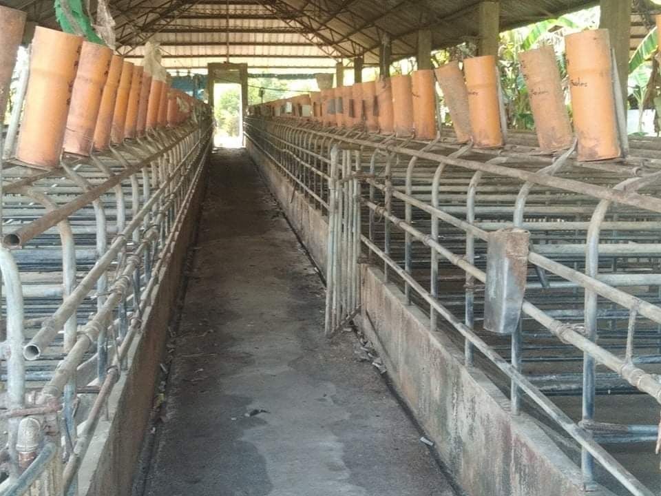 PIGGERY FARM with Business Permit in Dinalupihan, Bataan, Property, For