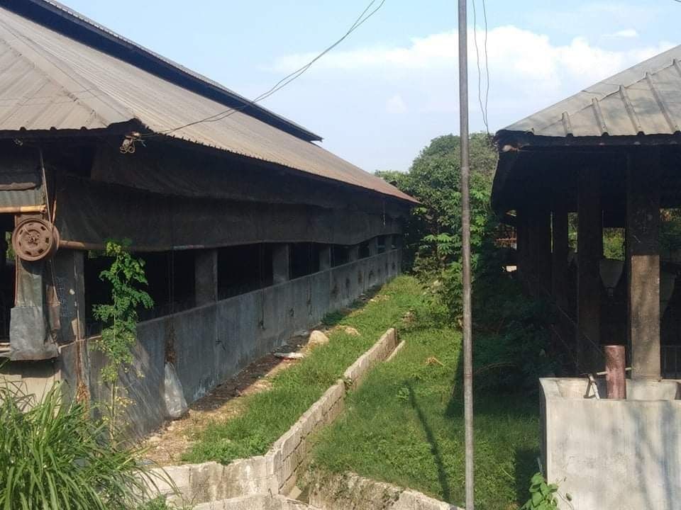 PIGGERY FARM with Business Permit in Dinalupihan, Bataan, Property, For