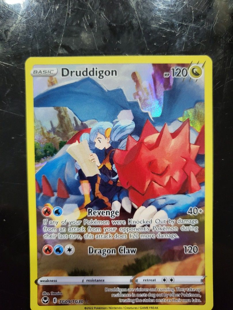Pokemon Druddigon Trainer Gallery TG09/TG30 Silver Tempest, Hobbies ...