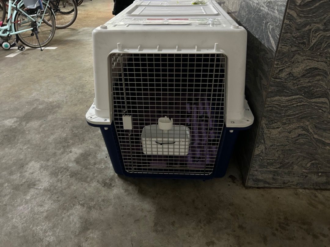 PP90 Dog Crate, Pet Supplies, Homes & Other Pet Accessories on Carousell